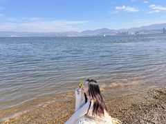-洱海月湿地公园
