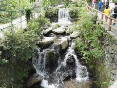 -藏龙百瀑风景区