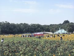 -北陵公园