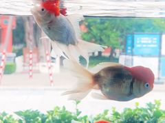 -北京市劳动人民文化宫(太庙)