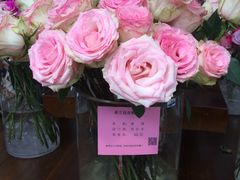 -荷兰花海