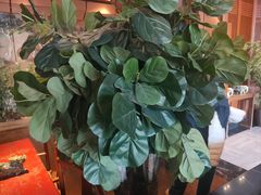 -八府香鸭·啫啫煲(华山路店)