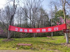 -上海海湾国家森林公园