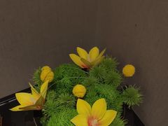 -杏花堂(北大街店)