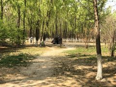 -亲兄弟真人CS团建拓展基地