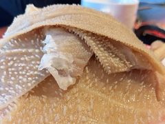 脆毛肚-楠火锅(仁恒梦中心店)