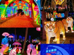 -欢乐海岸椰林沙滩-2025湾区超级灯会