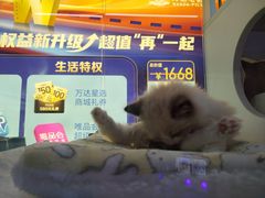 -万达广场(太原街店)