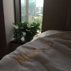 点击看大图 -玛莲朵·海菲秀冰珀科
