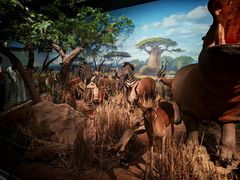 -陕西自然博物馆