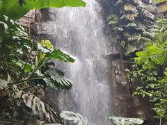-昆明植物园