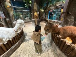 -宝燕乐园(闵行旗舰店)