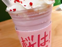 -伏小桃(明瓦廊店)