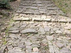 -仙霞关景区