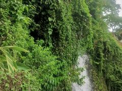 -鸿山公园