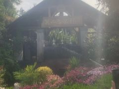 -腾冲洞山温泉村
