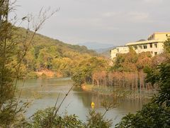-广东温泉宾馆