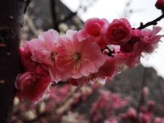 -北京明城墙遗址公园