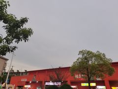 -南湖公园地摊集市