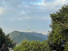 -梧桐山风景名胜区