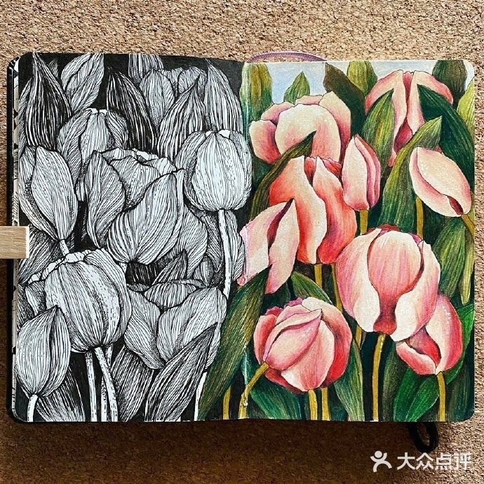 黑白与彩色的完美结合!