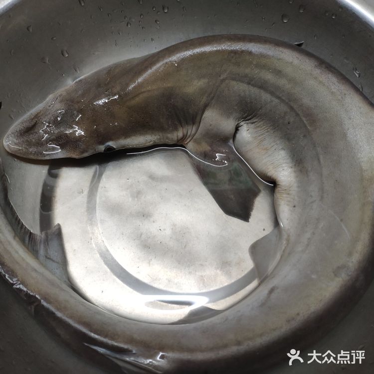 潮州咸菜炒鲨鱼肉