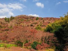 -四明山国家森林公园