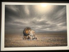 -罗红摄影艺术馆