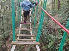 -衢州大荫山丛林飞越探险乐园