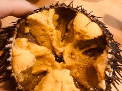 -海胆小馆(东北水饺·春柳店)