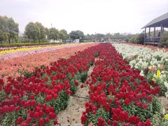 -广东花都香草世界旅游度假区
