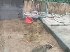 -万源龙顺度假庄园生态观光园