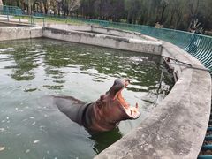 -哈尔滨北方森林动物园