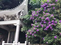 -广州市白云山风景名胜区