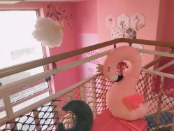 -M·X Nail日式美甲美睫