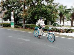 -黄海国家森林公园