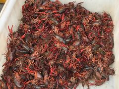 -王红军龙虾(新民路店)