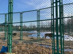 -鄂尔多斯野生动物园