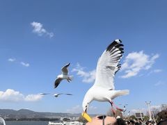 -大理洱海