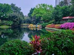 -中国科学院华南植物园