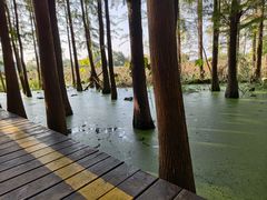 -云龙湖旅游景区