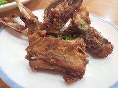 -功夫兔