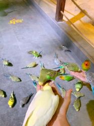 -酷嗒动物文化乐园(cutezoo西溪乐天城店)