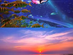 -日照灯塔风景区