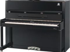 -超乐琴行(碧桂园天麓山店)