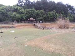 -千岛湖龙川湾