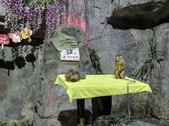 -泉城欧乐堡海洋极地世界