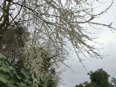 -贵阳蓬莱仙界