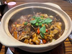 -五马集·海鲜·温州大牌档(黑金冠五马街十字路口店)