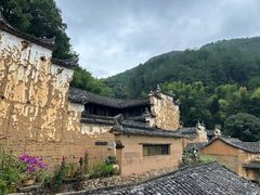 -杨家堂村